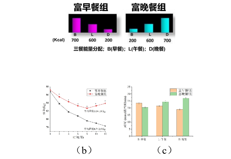 5 (1).png 5 (1).png