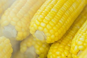 好玉米怎么选？一次性讲明白